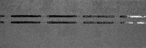 Коньково-карнизная черепица Docke Premium, черника купить в Новом Осколе