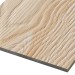 Фиброцементные панели FCSPRO Decor Wood Лиственница купить в Новом Осколе